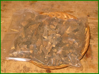 Morilles s�ch�es sans queue