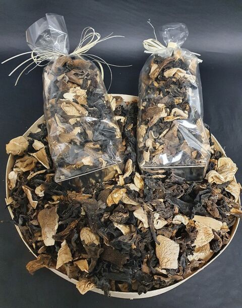 Mélange de champignons forestiers séchés